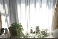 �J���g���[�G�ݒʔ̃l�b�g