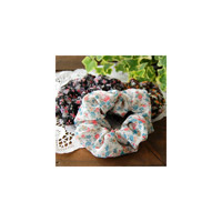 ���ԕ��V�t�H���V���V��