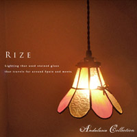 �A���_���V�A�E�R���N�V�����@�X�e���h�N���X1���y���_���g���C�g