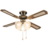 �g�[�^���A�C�@�V�[�����O�t�@��